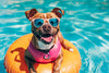 Protect Your Pup: The Best Dog Life Jacket Reviewed