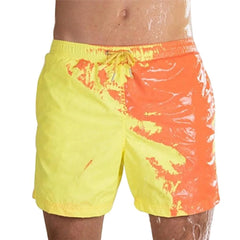 fast dry swim shorts wet