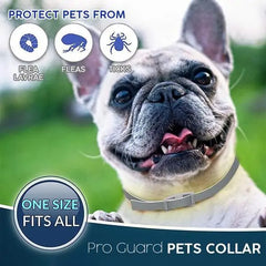 dogs best flea and tick collar