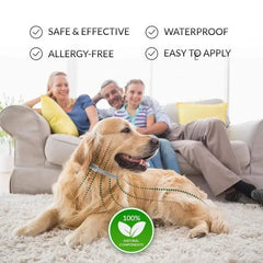 best flea and tick collar for dogs 