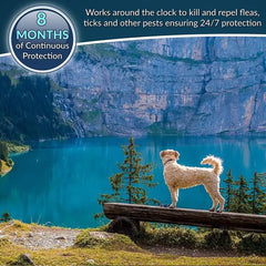 best flea and tick collar protection